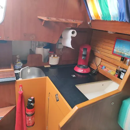 Orion